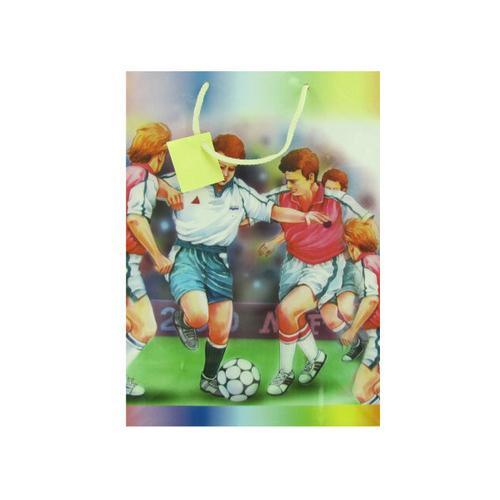 Large Sports Themed Gift Bag ( Case of 96 )