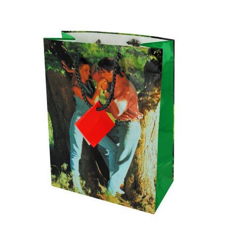 medium gift bag 10050 ( Case of 72 )